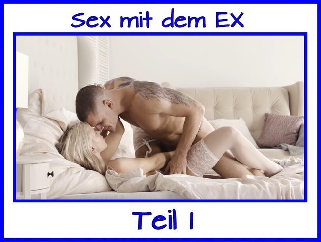 Sex mit dem EX Teil 1