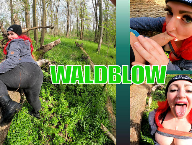 WALDBLOW -OUTDOOR